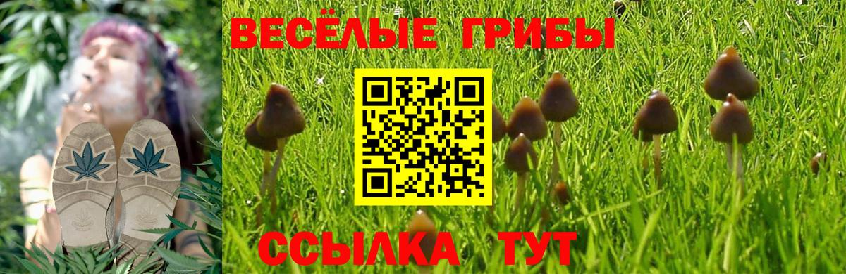 Псилоцибиновые грибы GOLDEN TEACHER Нижний Новгород