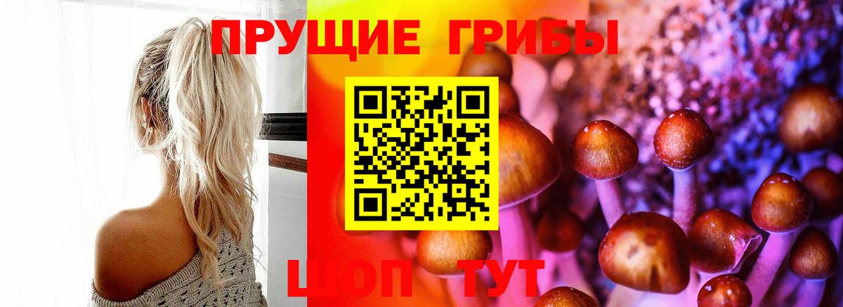 Галлюциногенные грибы мицелий  Вход с VPN  Галлюциногенные грибы мицелий  Нижний Новгород 